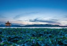 城中夏游 | 映日荷花别样红