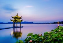 多样暑期,欢“剧”仲夏