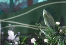 闪耀人生·彼此之光|2021.7.11主题宴会秀精彩回顾!