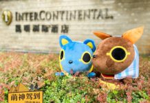 昆明洲际酒店萌神亲子房萌动上线