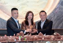 泉州泰禾洲际酒店 “点亮温暖 守护自然”,2021年圣诞亮灯仪式圆满进行