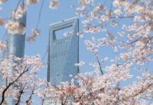 悦醒春日 暖春芳菲——上海柏悦酒店春季新品全新呈现