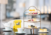 春季上新 | 莓莓知春晓,春天没烦恼