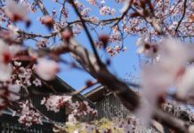 丽江金林温德姆至尊豪廷全别墅度假酒店