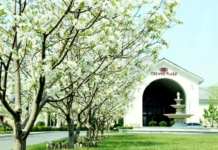 春风十里,邂逅”怀”里 怀来皇冠假日酒店清明小长假清溜娃游玩攻略