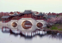 梅开百花先 赏梅正当时