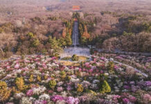 暗香浮动月黄昏|Staycation Package