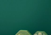 端午礼馔|文华粽子礼盒开售啦!RICE DUMPLING