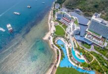 遇见“意”国风情 | 第一乐章