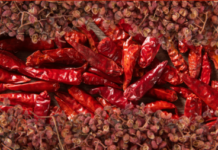 苏州香格里拉香宫中餐厅“四川美食节”盛夏麻辣启幕