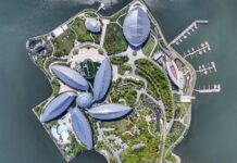 花开南岛,流光“际”汇:升级度假体验,上海滴水湖洲际酒店焕新开业