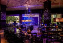 曼妙“拾”光 · “逸”起闪耀