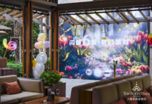 始于初见·闪耀6载 上海素凯泰酒店六周年