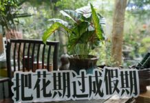 休憩雨城 焕然而归 “乐享雨城假期,探寻非遗文化”雅安正黄希尔顿逸林酒店春季媒体焕然之旅