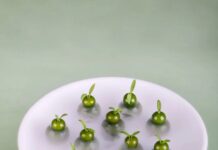 万味奇遇 · 春遇江南 ǀ 飨味溧阳