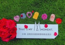 世界环境日—低碳旅行,开启艺术旅居