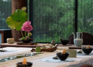 芙蕖雅宴|千年花事未阑珊,循宋韵入画西溪