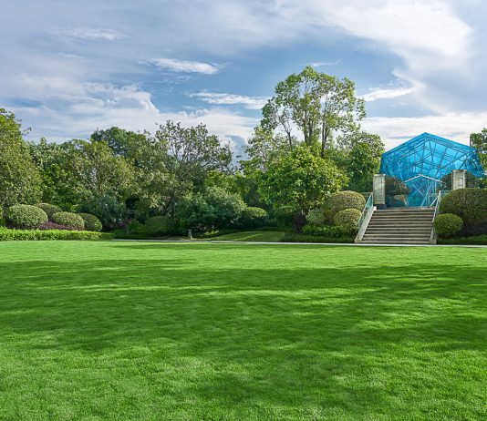 踏春宾纷时 | 福州泰禾凯宾斯基春日家庭“趣”处指南