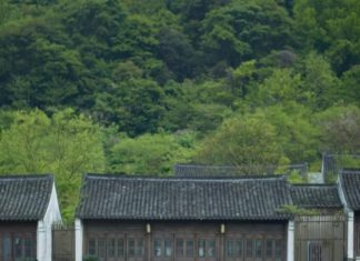 清明踏春|会稽山阴赴一场东方诗意之约 旅拍2