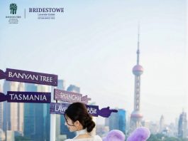 共赴南半球百年薰梦——都市薰衣草萌愈之旅