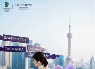 共赴南半球百年薰梦——都市薰衣草萌愈之旅